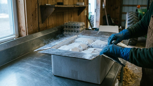 Insulated box packed with frozen farm meat ready to ship